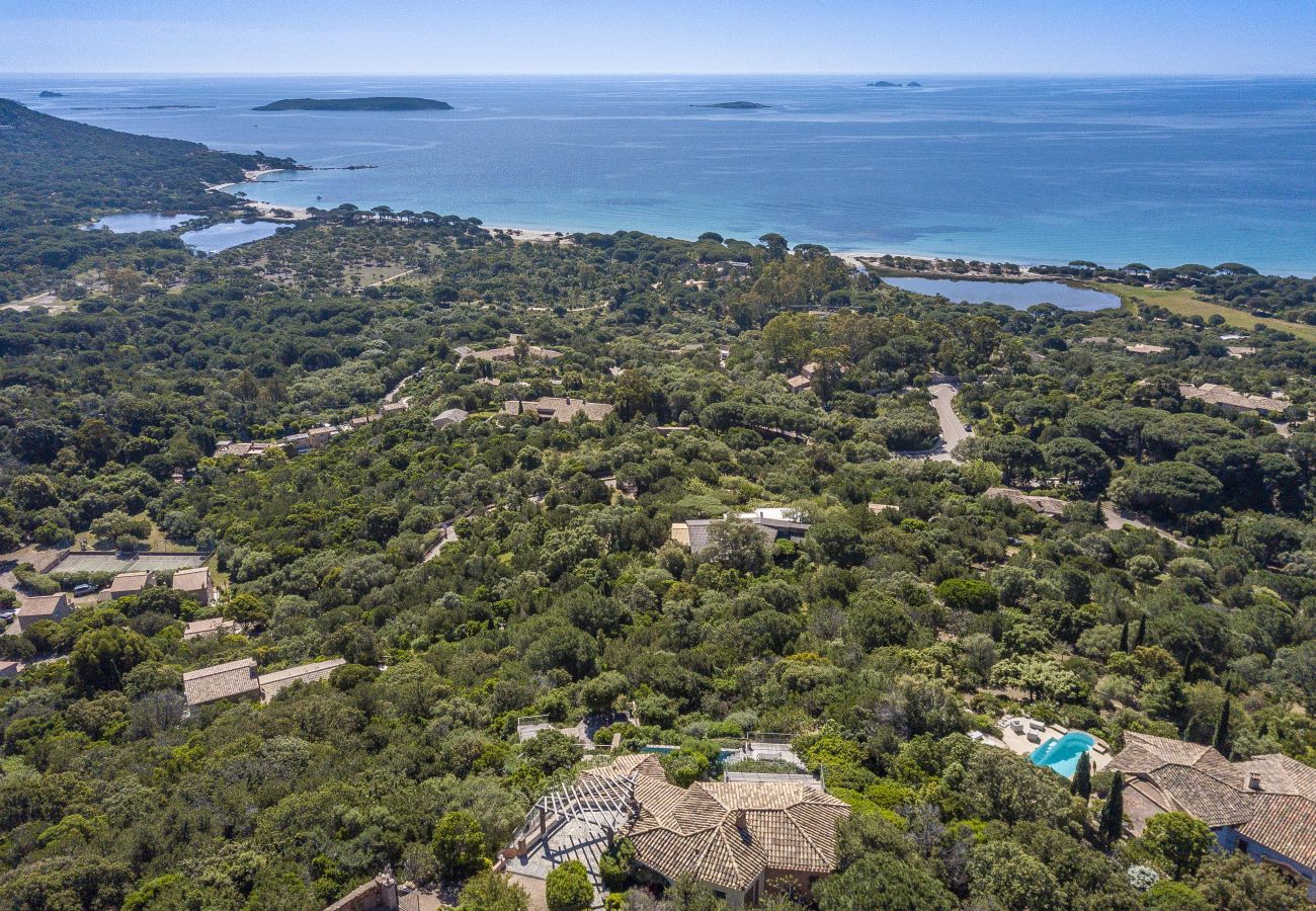 Villa in Porto-Vecchio - Villa Bianca