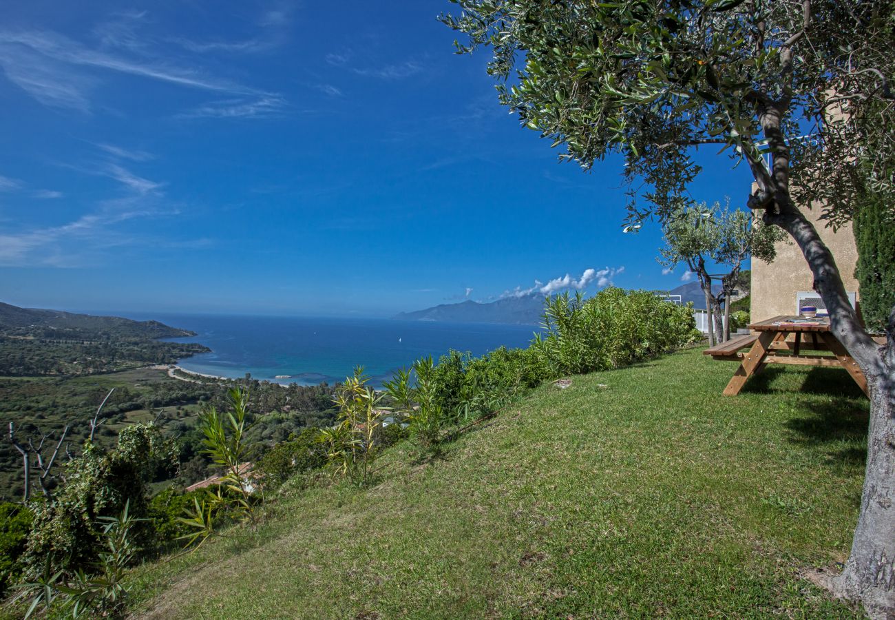 Villa in Saint-Florent - Villa Cléa