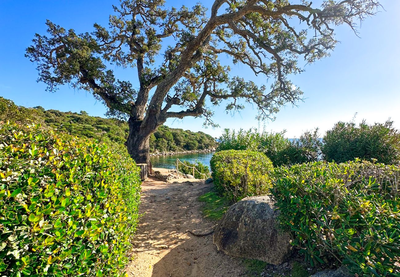 Villa in Sainte-Lucie de Porto-Vecchio - Villa Clementina