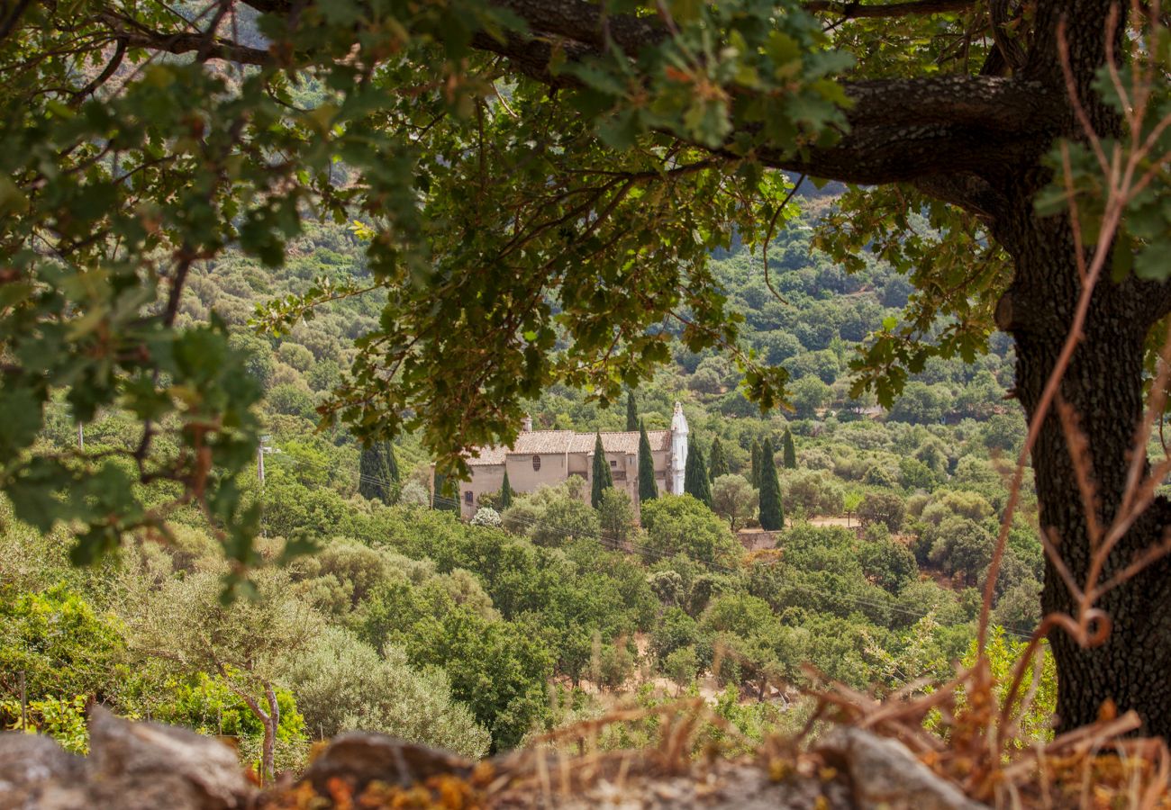 Villa en Corbara - Villa U Laziu