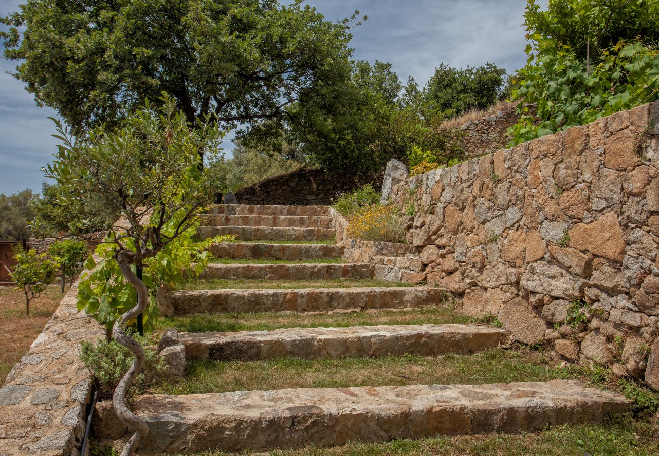 Villa en Corbara - Villa U Laziu