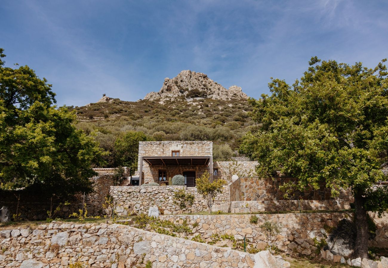 Villa en Corbara - Villa U Laziu